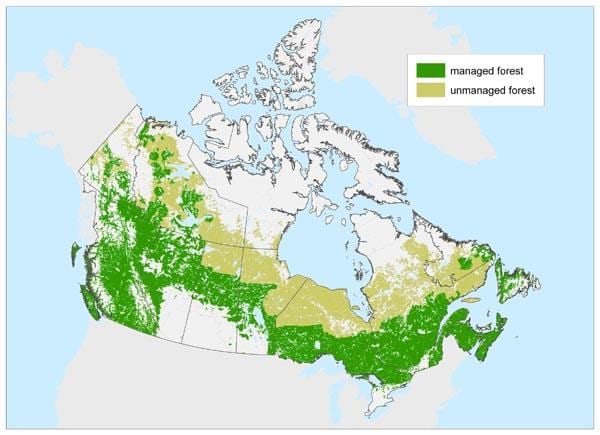 carte du Canada les forêts