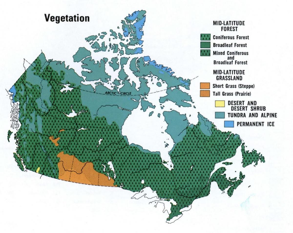 carte du Canada de la végétation