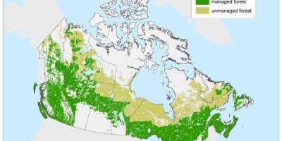 Carte du Canada les forêts