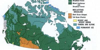 Carte du Canada de la végétation